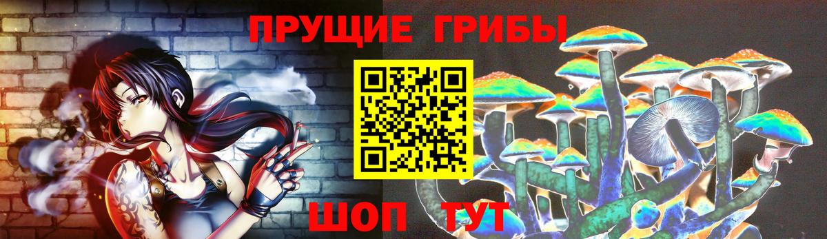 Реж  Галлюциногенные грибы Psilocybe  Псилоцибиновые грибы Psilocybine cubensis  Вход с VPN 