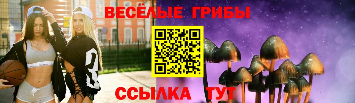 Псилоцибиновые грибы Magic Shrooms Реж